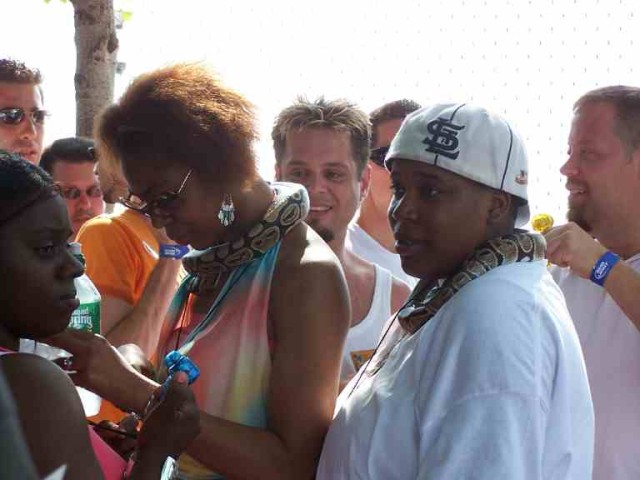 Homosexual women wear snakes around their necks.
