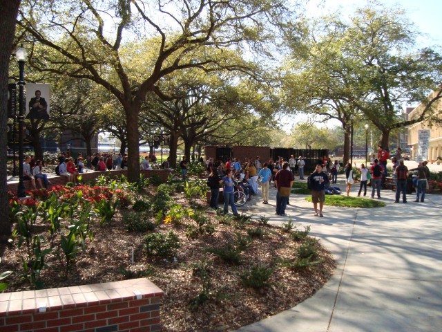 The crowd grows larger as more people are drawn in by the preaching.