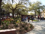 The crowd grows larger as more people are drawn in by the preaching.